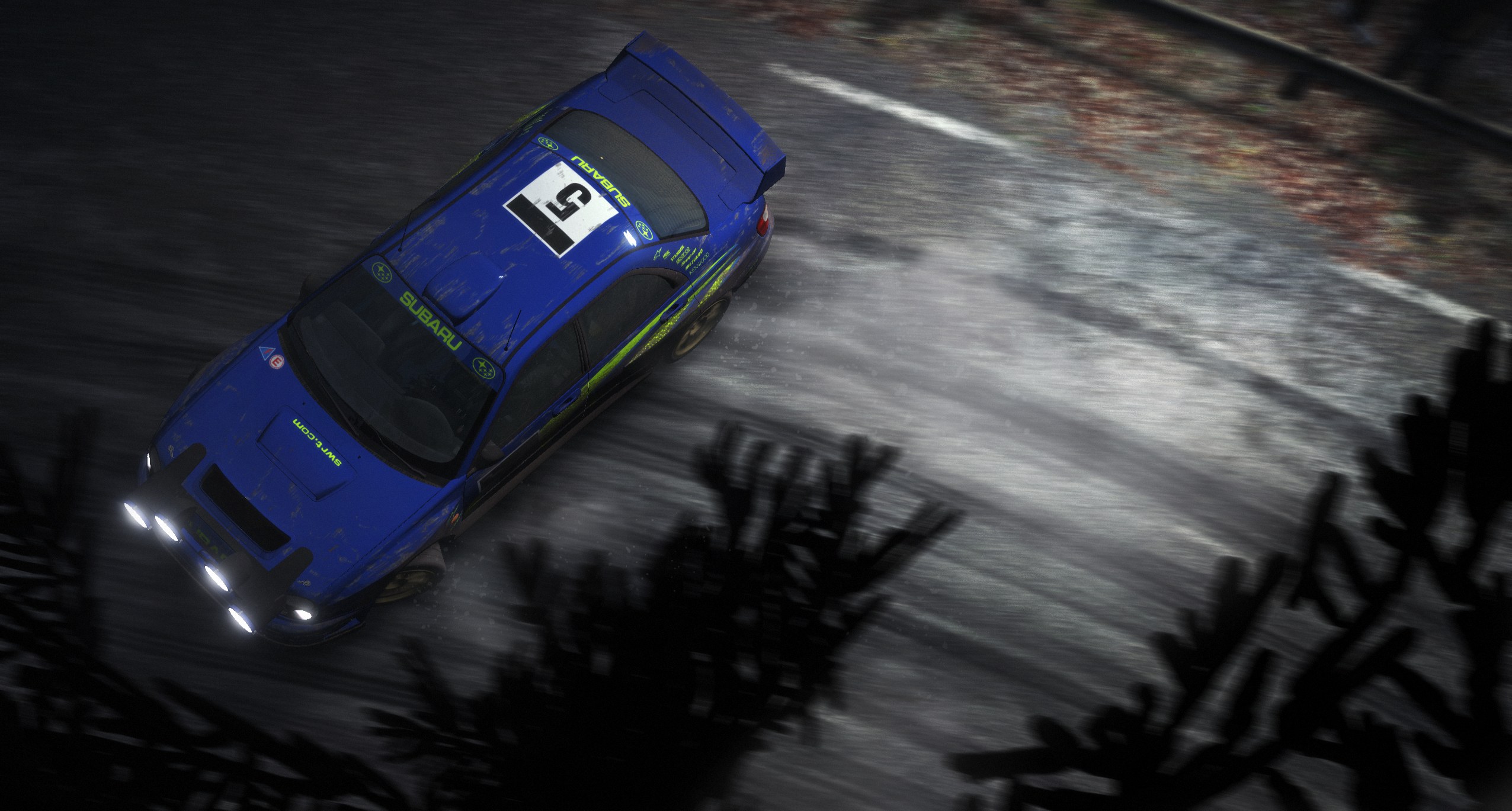 DiRT Rally - Imagen 49